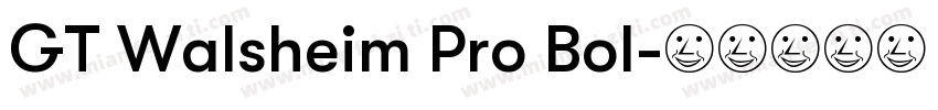 GT Walsheim Pro Bol字体转换